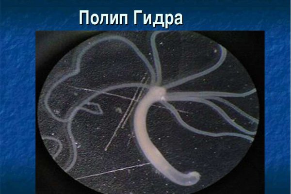 Кракен маркетплейс зеркало