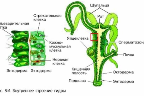 Kra41.at Вход на сайт главная страница