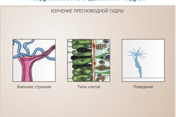 Кракен тор kr2web in