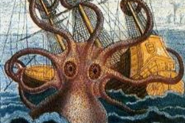 Kraken 14at