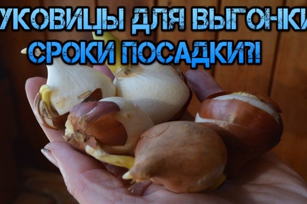 Кракен адрес даркнет