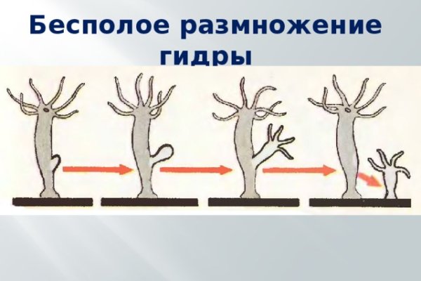 Кракен 22