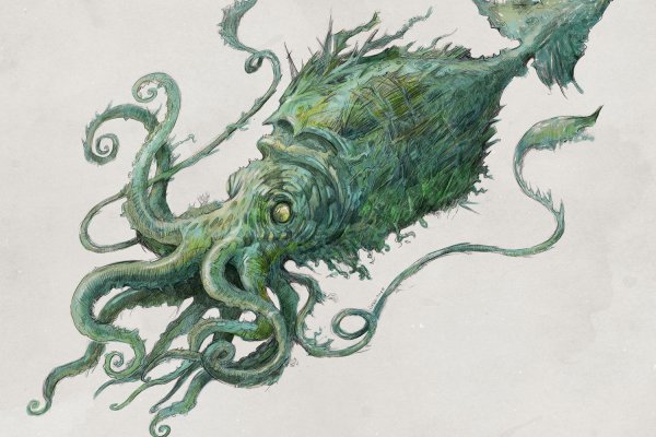 Kraken 20at