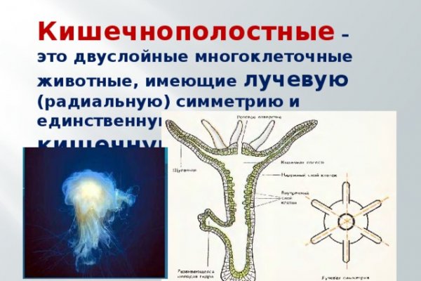Кракен рабочее на сегодня сайт
