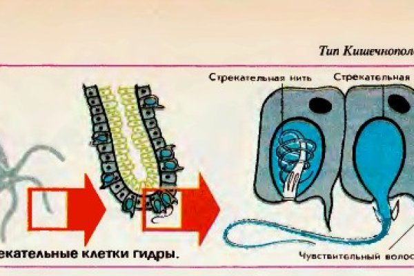 Ссылки кракен телеграф