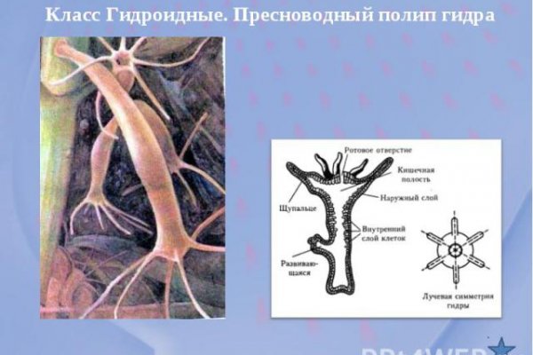 Работающий сайт кракен