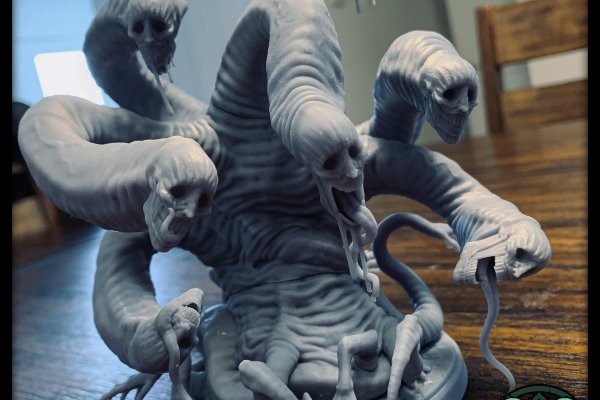 Kraken kraken link24 info