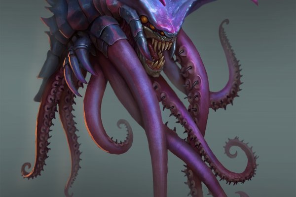 Kraken 20at net