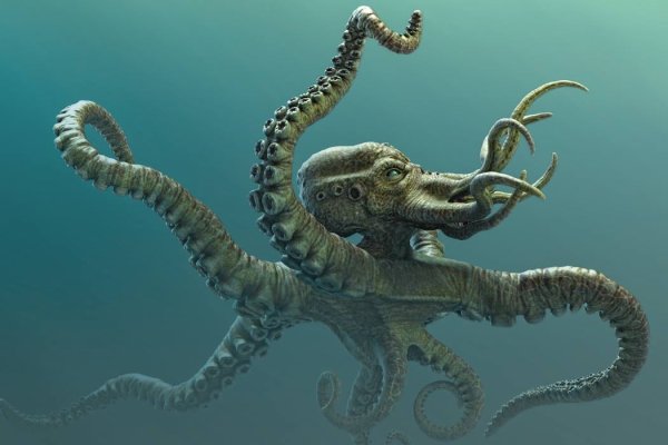 Kraken ссылка актуальная