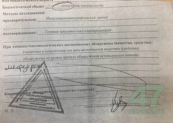 Kraken даркнет что это