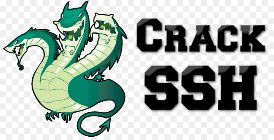 Kraken 11at